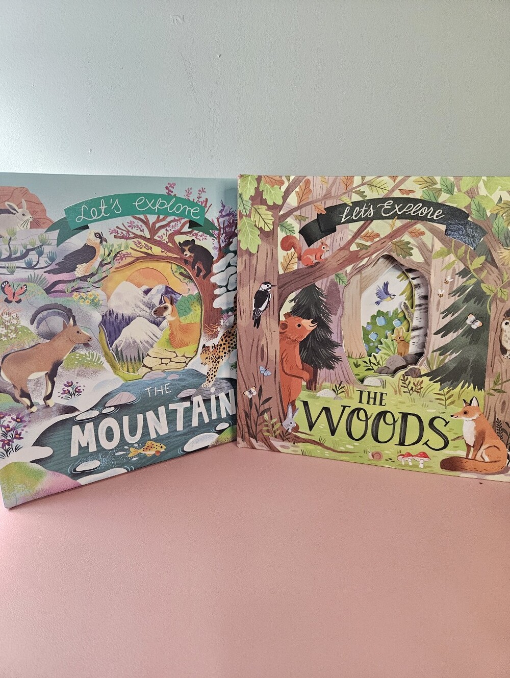 Two Lift The Flap Exploration Board Books